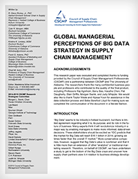 Global Managerial Perceptions of Big Data Strategy in SCM